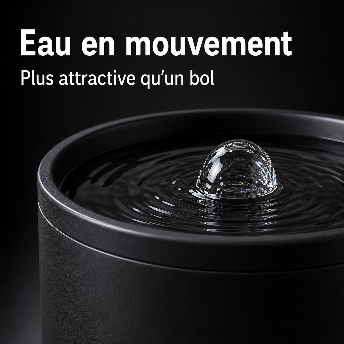 Eau en circulation — Fontaine à eau en céramique noir pour chat – 1 L