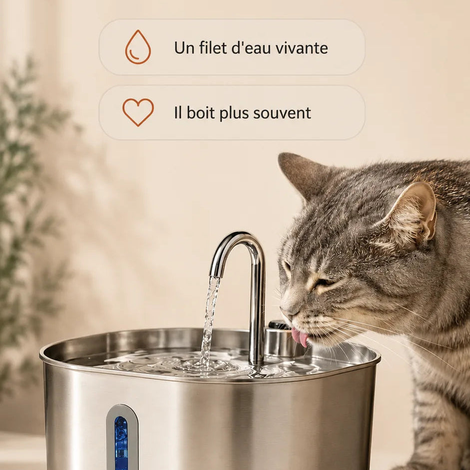 Fontaine inox à bec robinet 2,2 L pour chat - l'effet robinet qu'ils adorent