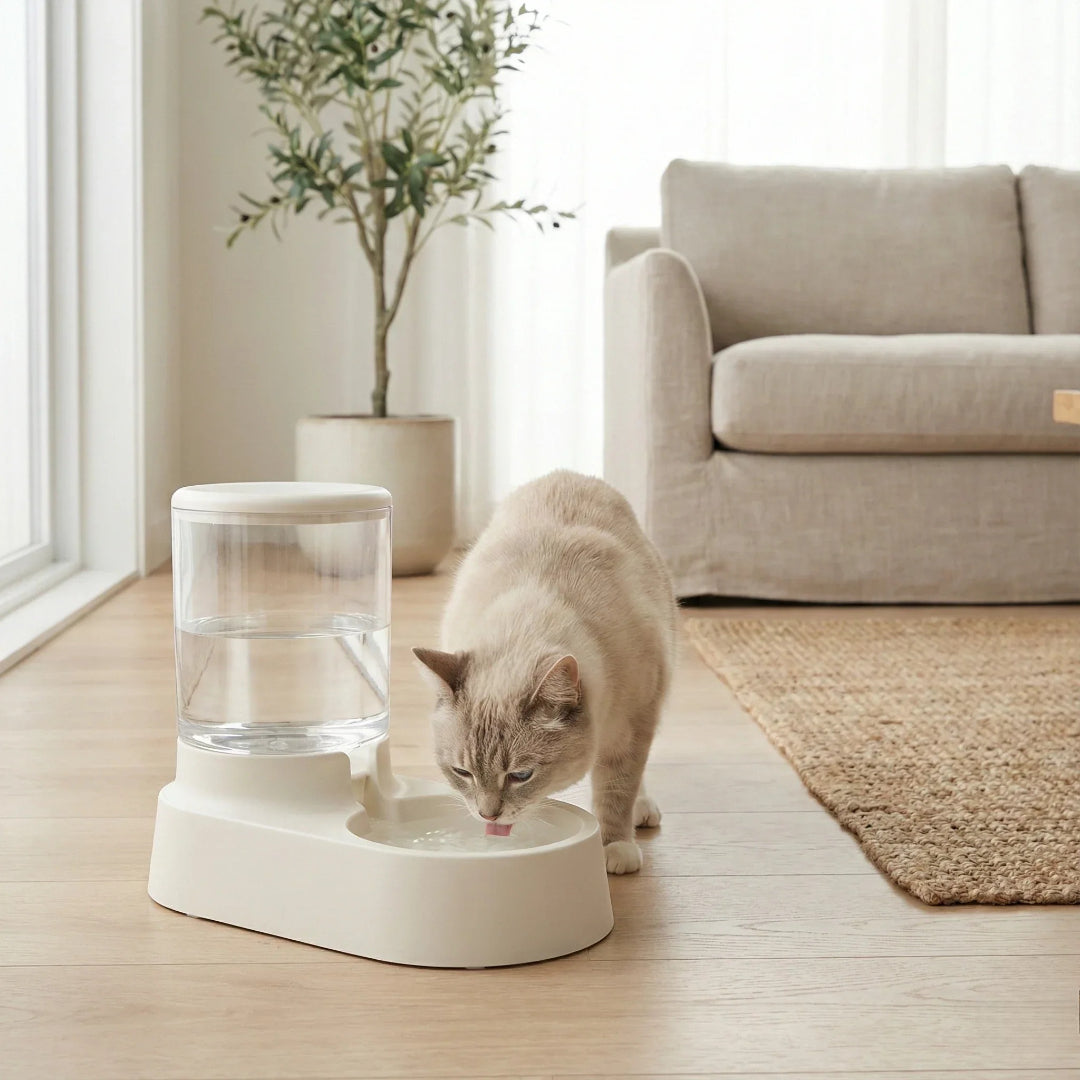 fontaine plastique chat blanc Image