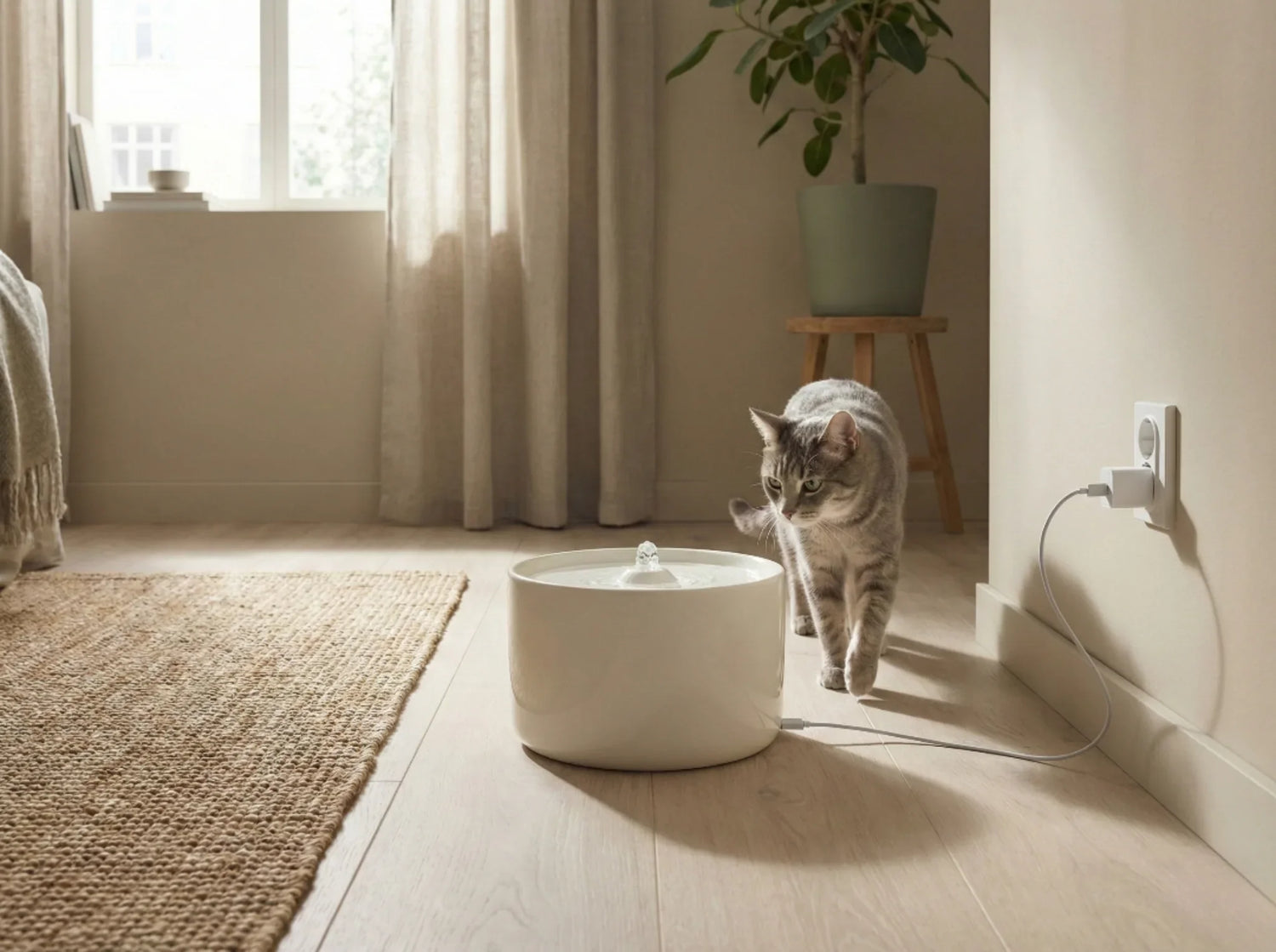 Fontaine à eau pour chat électrique / USB