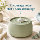 Fontaine à eau en céramique vert baleine 1,3 L pour chat — vue d'ensemble