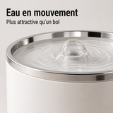 Eau en circulation — Fontaine à eau en céramique blanche et argenté pour chat – 1 L