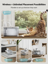 Fontaine à eau en inox blanche DownyPaws — 2,5 L