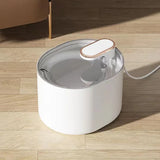 Fontaine à eau écoulement doux blanche 3 L pour chat
