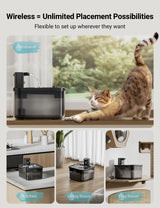 Fontaine à eau en inox noir DownyPaws — 2,5 L