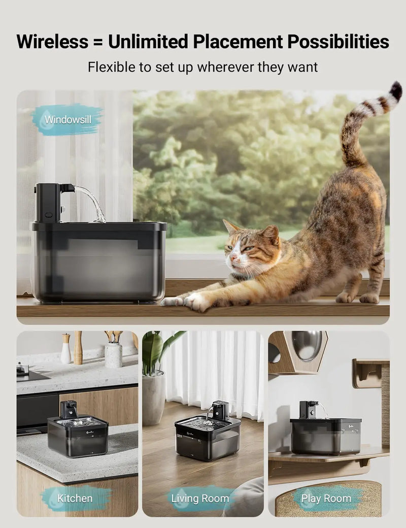 Fontaine à eau en inox noir DownyPaws — 2,5 L