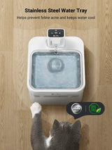 Fontaine à eau en inox blanche DownyPaws — 2,5 L