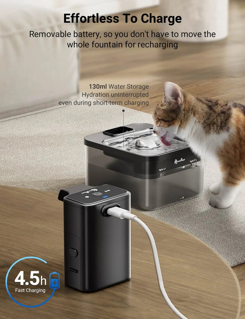 Fontaine à eau en inox noir DownyPaws — 2,5 L