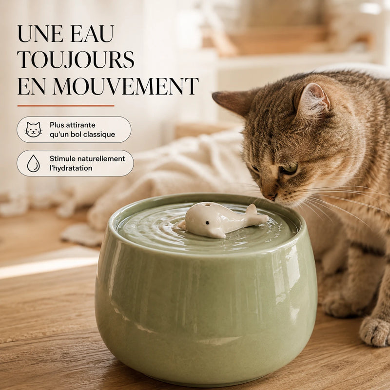 Une eau toujours en mouvement, plus attirante qu'un bol