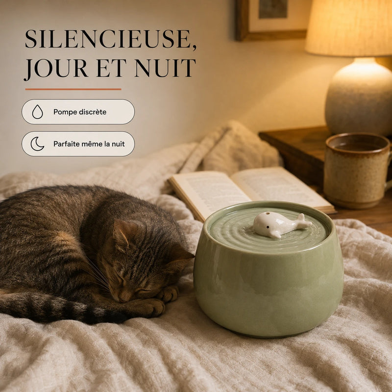 Fontaine silencieuse jour et nuit, pompe discrète