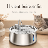 Chat qui boit à la fontaine inox à bec robinet 4 L