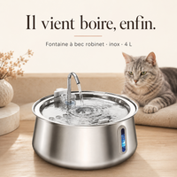 Chat qui boit à la fontaine inox à bec robinet 4 L