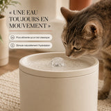 Une eau toujours en mouvement, plus attirante qu'un bol