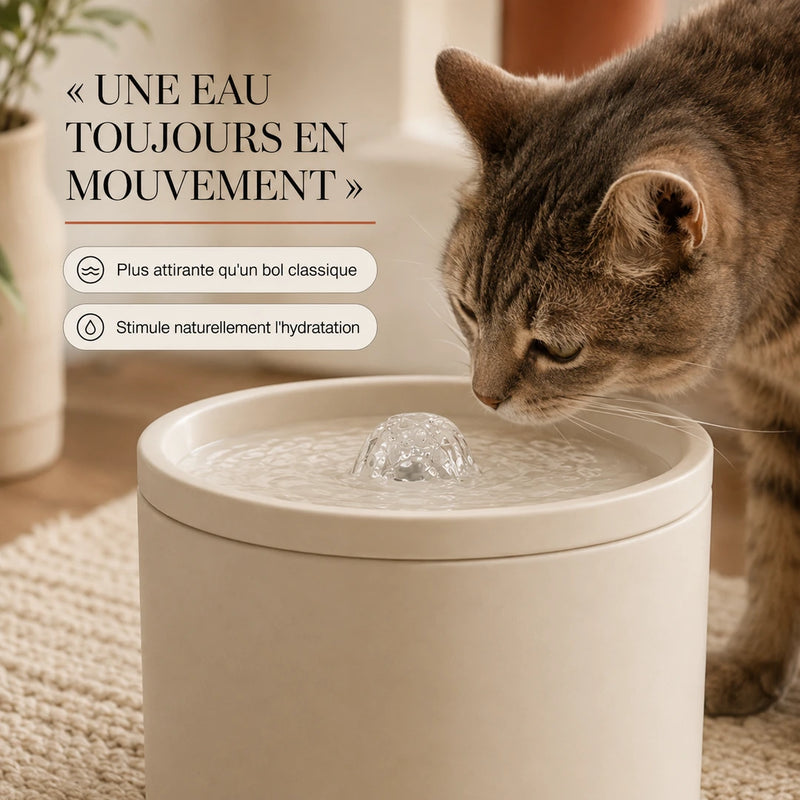 Une eau toujours en mouvement, plus attirante qu'un bol