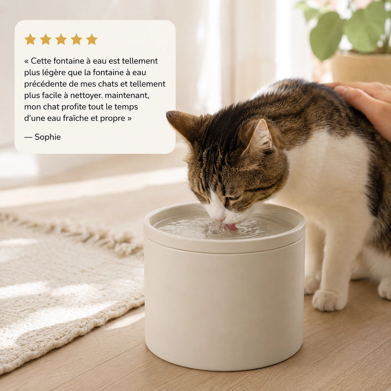 Avis client - chat qui boit à la fontaine