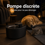 Pompe discrète — Fontaine à eau à écoulement doux noir — 3 L