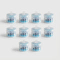 Pack 10 filtres pour fontaine à eau en céramique 1.3L