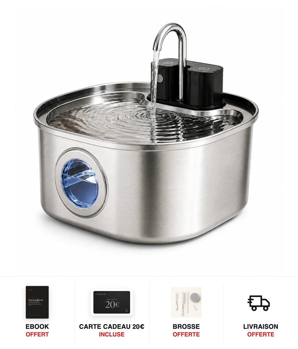 Fontaine à eau chat inox sans fil FlowArc 3,2 L - cadeaux offerts : ebook, carte cadeau 20€, brosse, livraison offerte
