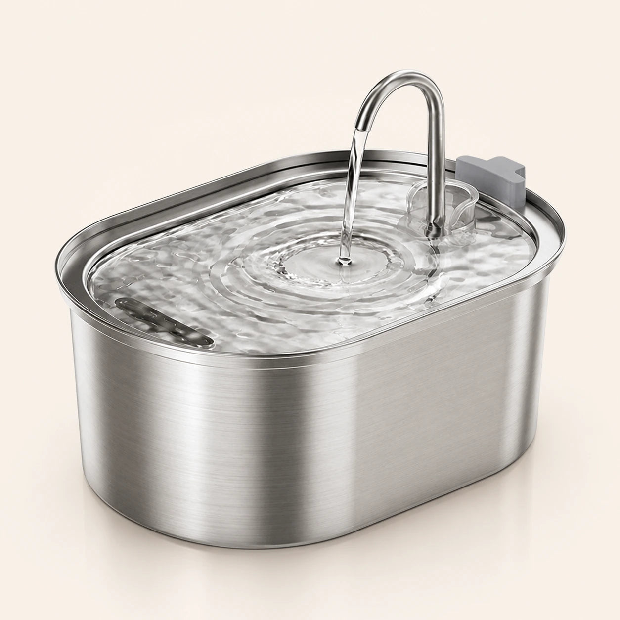 Fontaine à eau en acier inoxydable ovale pour chat – 3,2 L