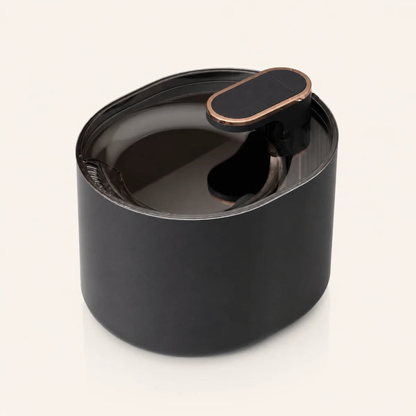 Fontaine à eau écoulement doux noir 3 L pour chat