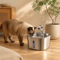 Fontaine inox bec robinet arche carrée 2,2 L - en situation dans un intérieur