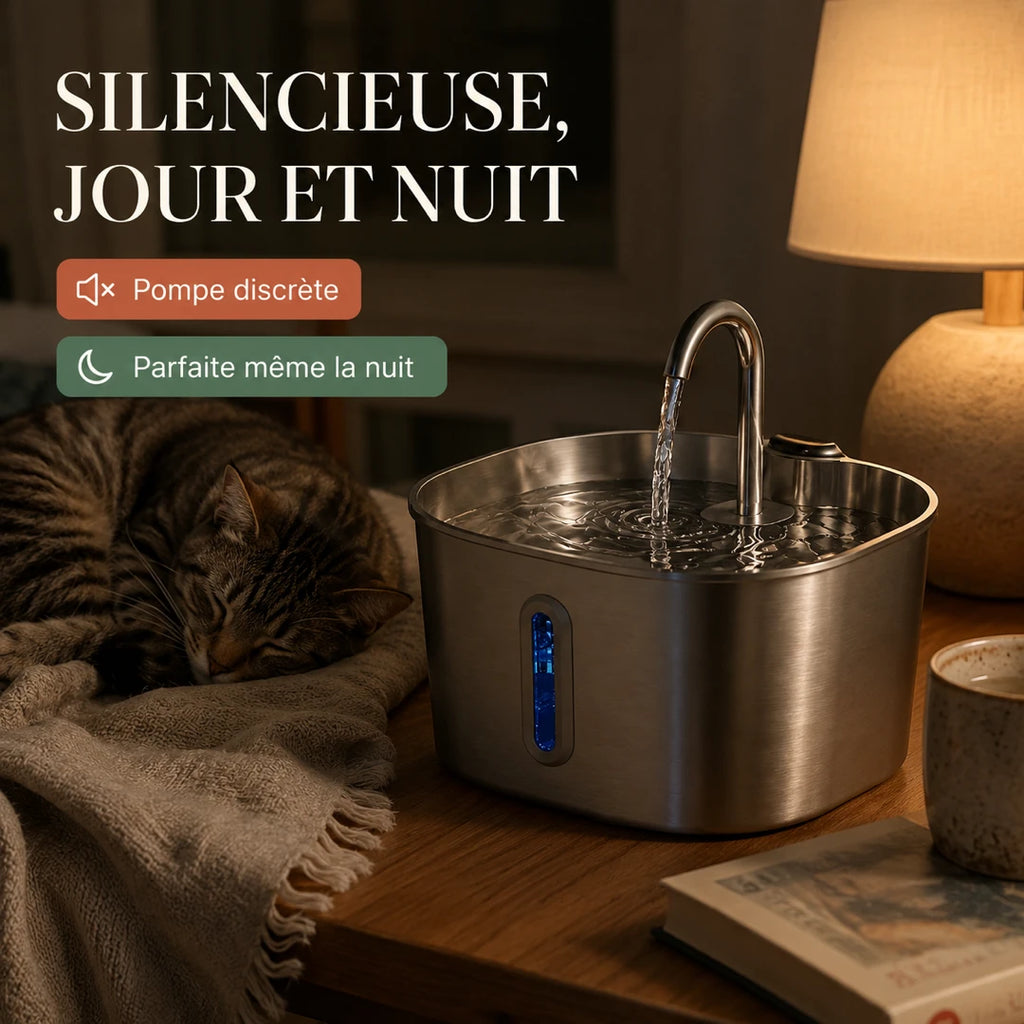 Fontaine inox silencieuse, chat endormi à côté