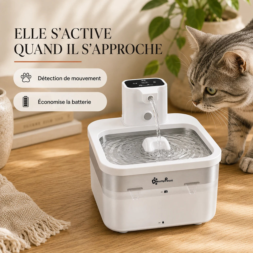 Chat s'approchant de la fontaine inox blanche DownyPaws à détection de mouvement