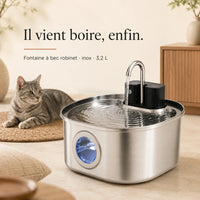 Fontaine à eau en inox FlowArc 3,2 L à bec robinet pour chat