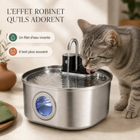 Chat buvant au filet d'eau du bec robinet de la fontaine FlowArc