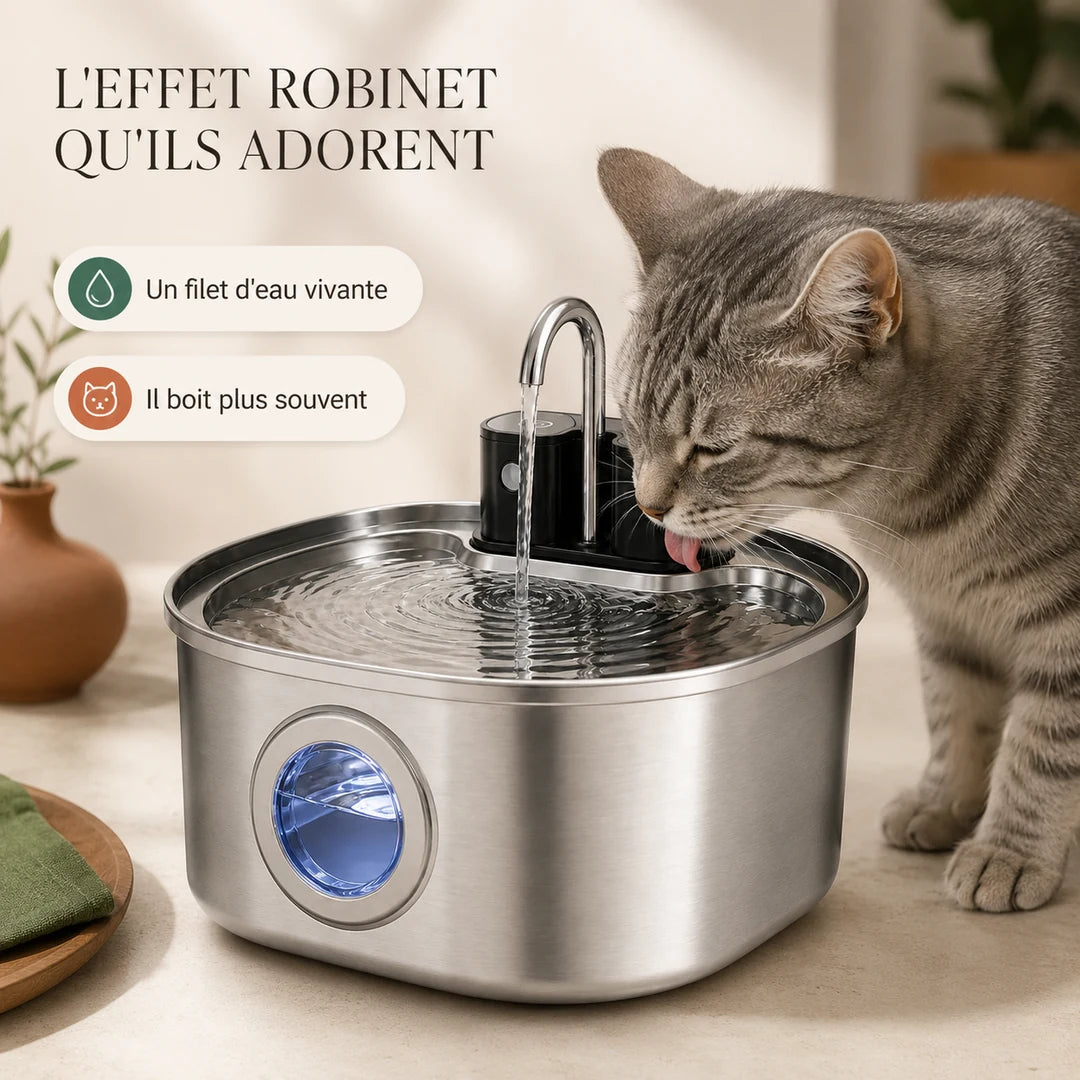 Chat buvant au filet d'eau du bec robinet de la fontaine FlowArc Image