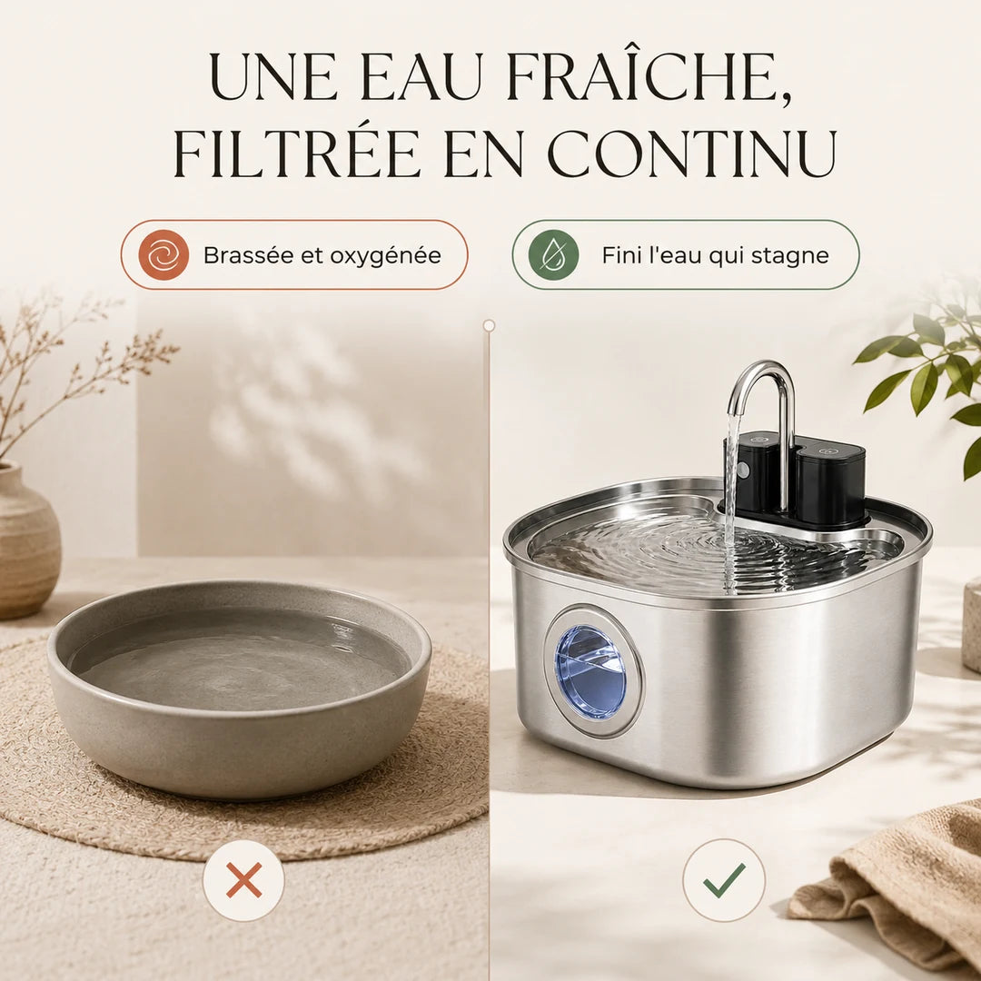 Eau fraîche filtrée en continu par la fontaine à chat FlowArc inox