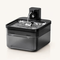 Fontaine à eau en inox noir DownyPaws — 2,5 L