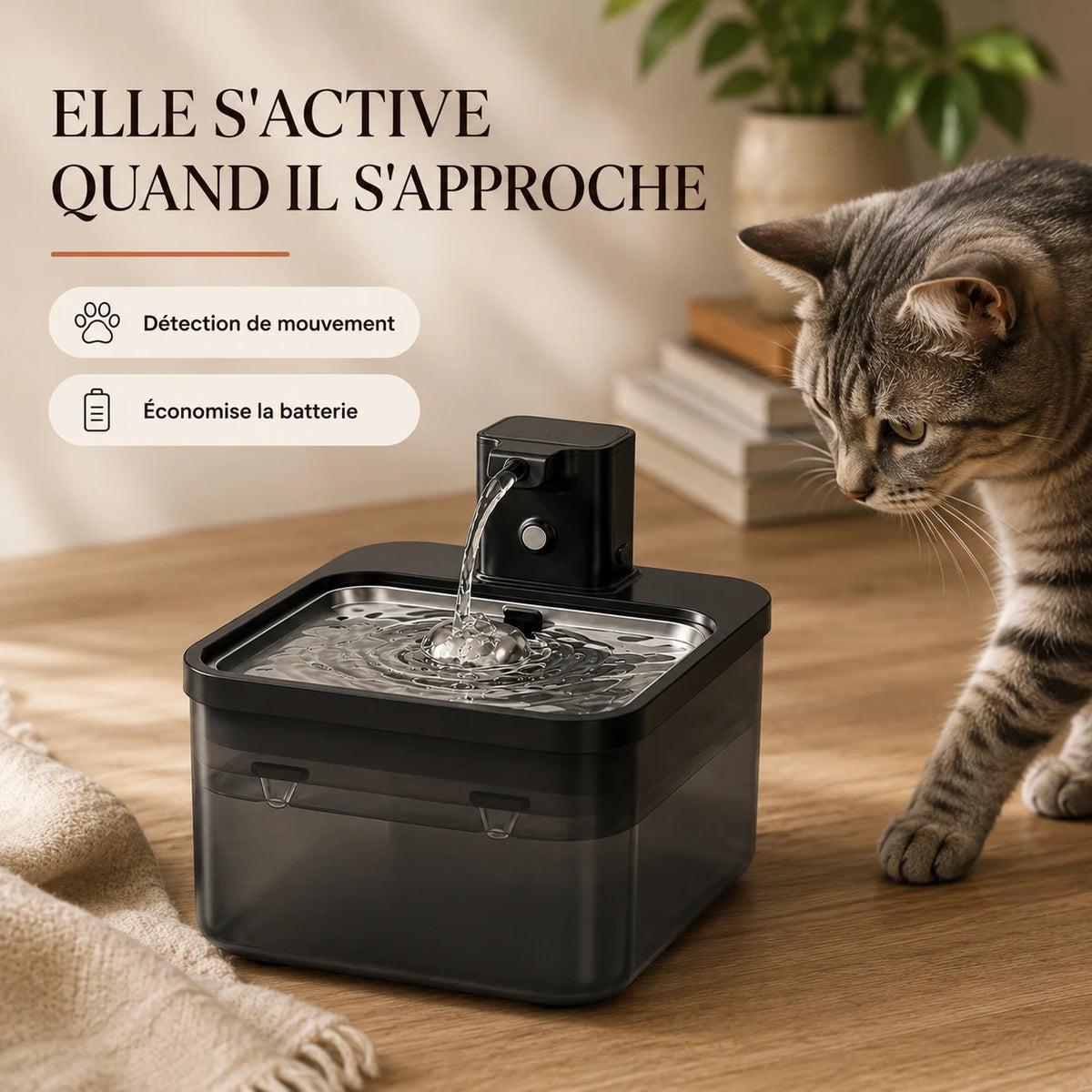 Chat s'approchant de la fontaine inox noir à détection de mouvement
