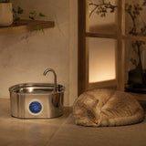 Fontaine inox ovale bec robinet à hublot LED 2,2 L - silencieuse, chat qui dort