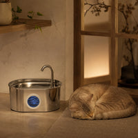 Fontaine inox ovale bec robinet à hublot LED 2,2 L - silencieuse, chat qui dort