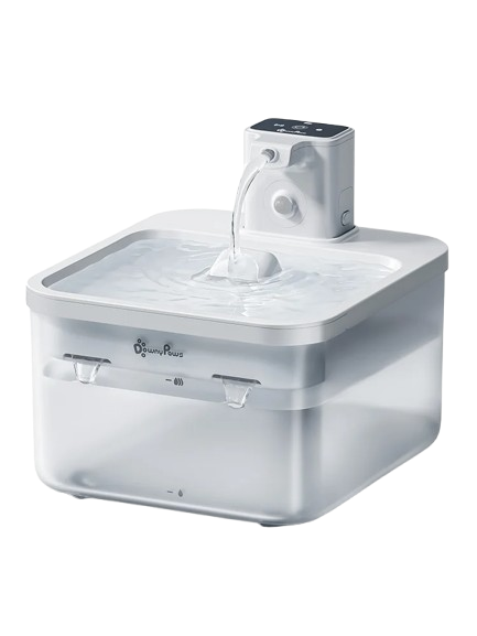 Fontaine à eau plastique blanche DownyPaws 2,5L pour chat