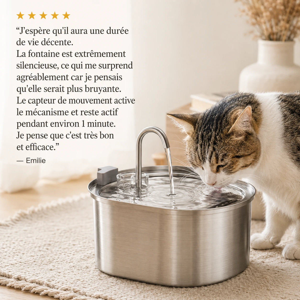 Avis client - chat qui boit à la fontaine