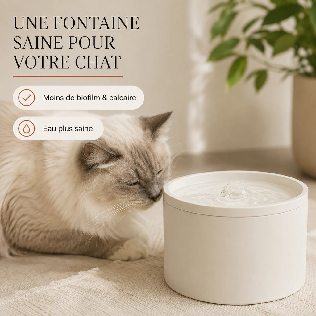 Fontaine a chat saine apres entretien avec le kit