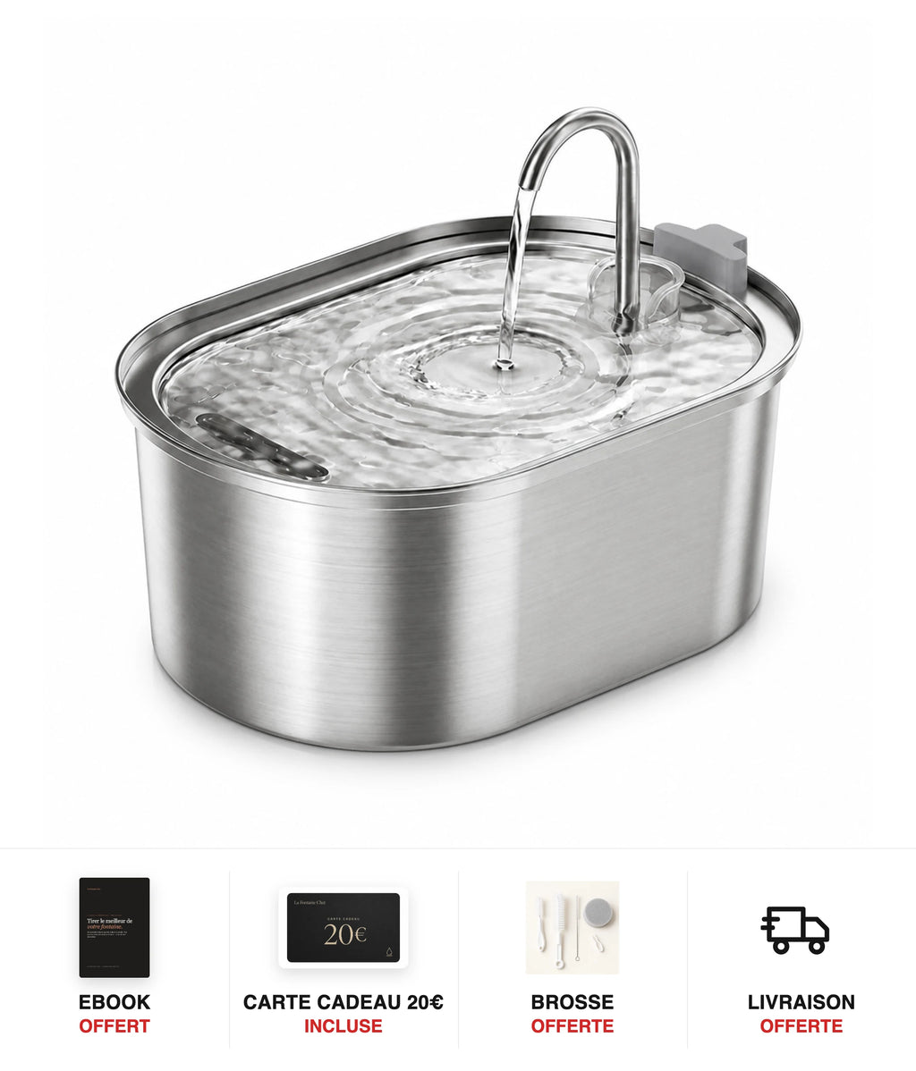 Fontaine à eau chat inox ovale 3,2 L - cadeaux offerts : ebook, carte cadeau 20€, brosse, livraison offerte