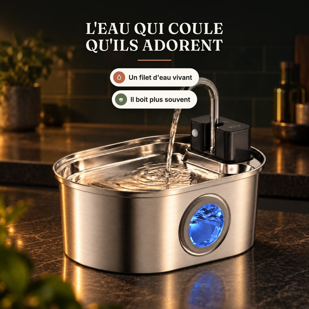 Fontaine à eau pour chat en inox sans fil ovale 3,2 L à bec robinet, l'eau qui coule