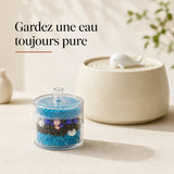 Filtres de rechange fontaine baleine 1,3 L, eau toujours pure