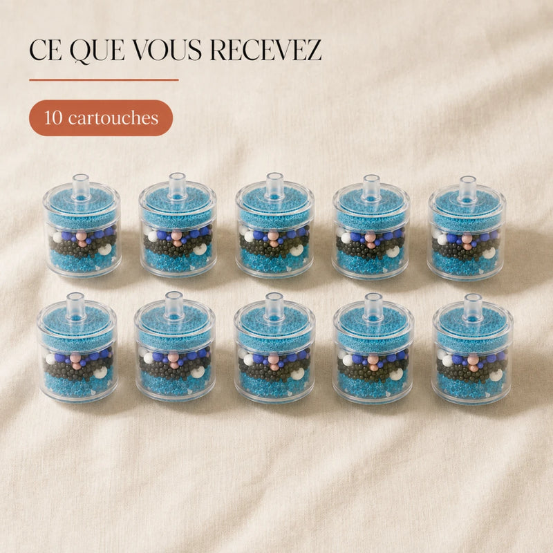 Contenu du pack de 10 cartouches filtres fontaine baleine 1,3 L