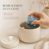 Remplacement du filtre dans la fontaine baleine 1,3 L