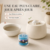 Eau plus claire avec les filtres fontaine baleine 1,3 L