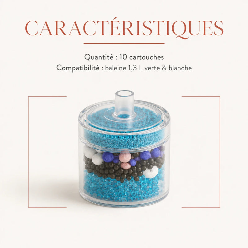Caracteristiques des filtres fontaine baleine 1,3 L, 10 cartouches