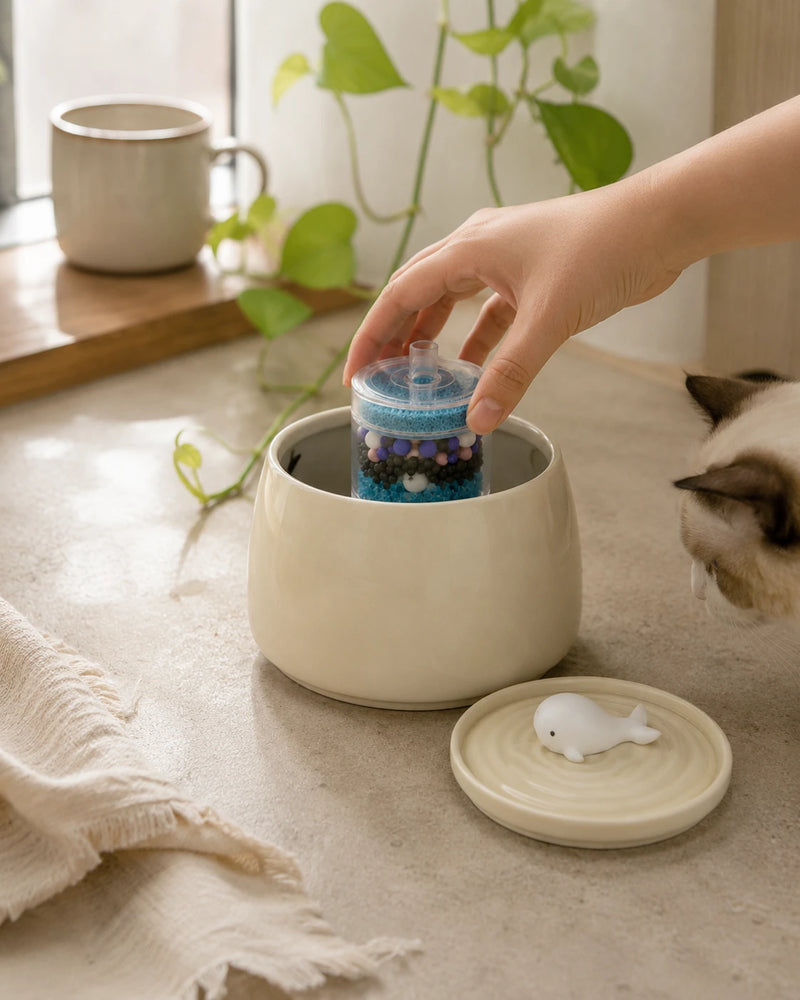 Filtre de rechange fontaine baleine 1,3 L au quotidien