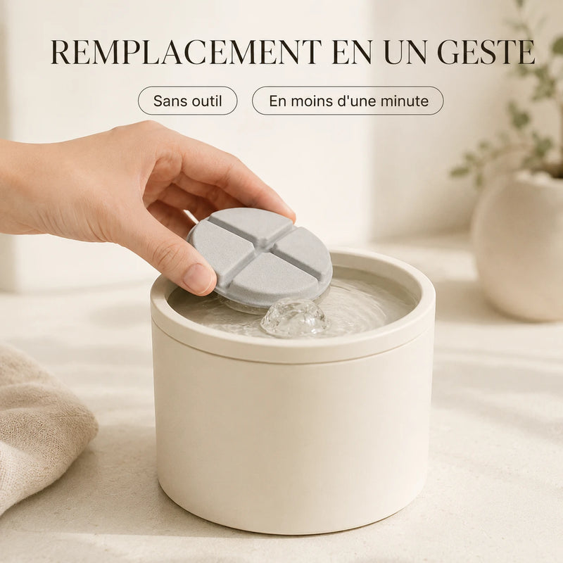 Remplacement du filtre dans la fontaine ceramique 1 L