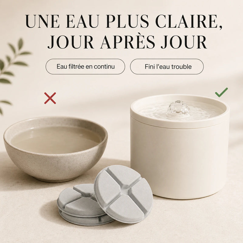 Eau plus claire avec les filtres fontaine ceramique 1 L