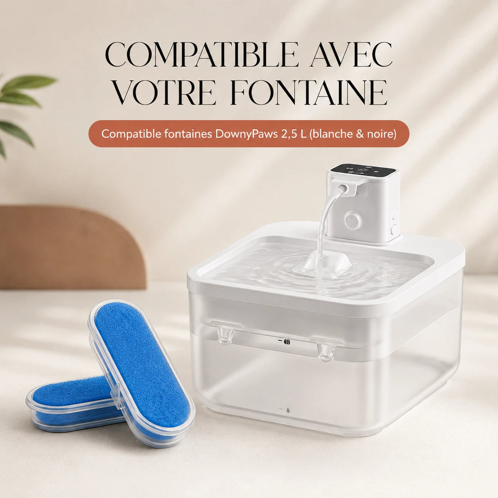 Filtres compatibles fontaines DownyPaws 2,5 L blanche et noire