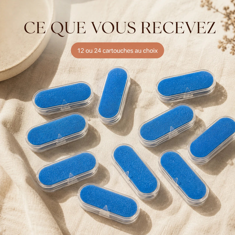 Contenu du pack de filtres fontaine DownyPaws 2,5 L, 12 ou 24 cartouches